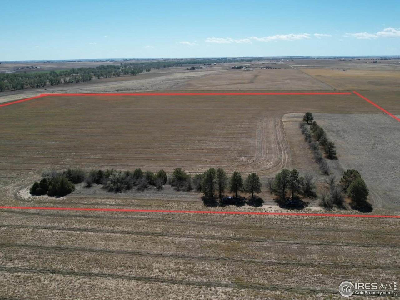  Highway 79 - Photo 1