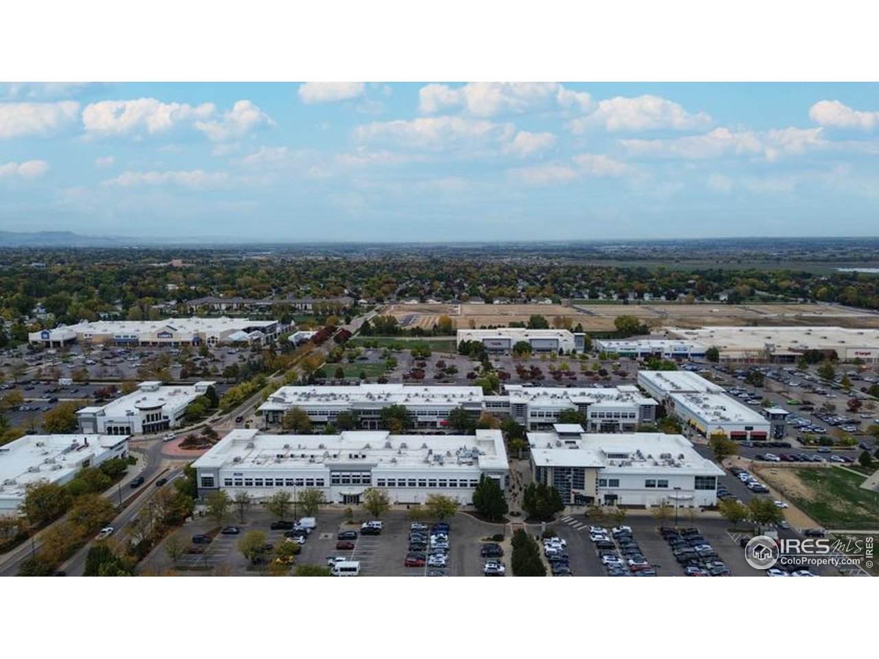 2721 Council Tree Ave - Photo 1