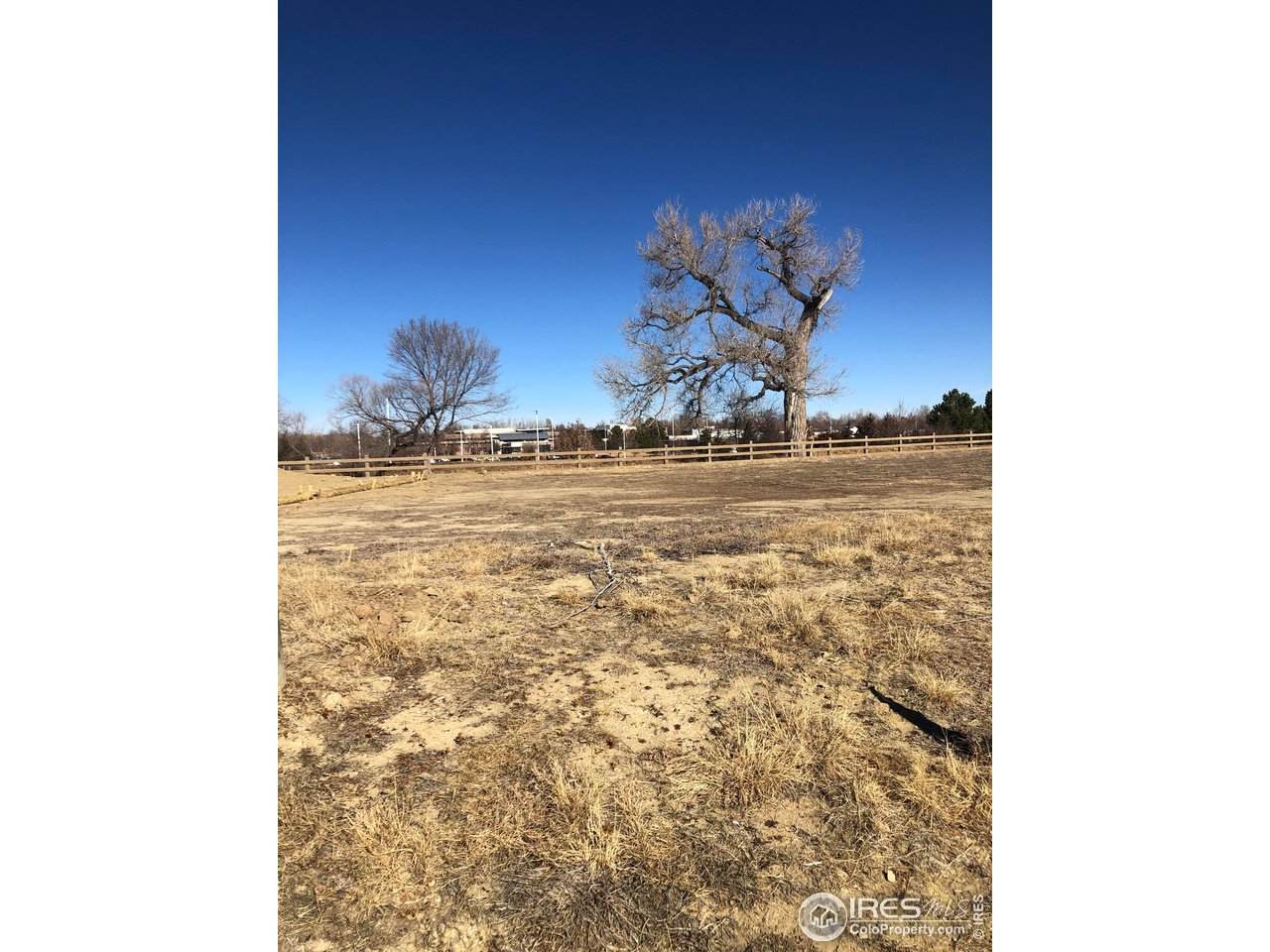 932 Langdale Dr - Photo 1