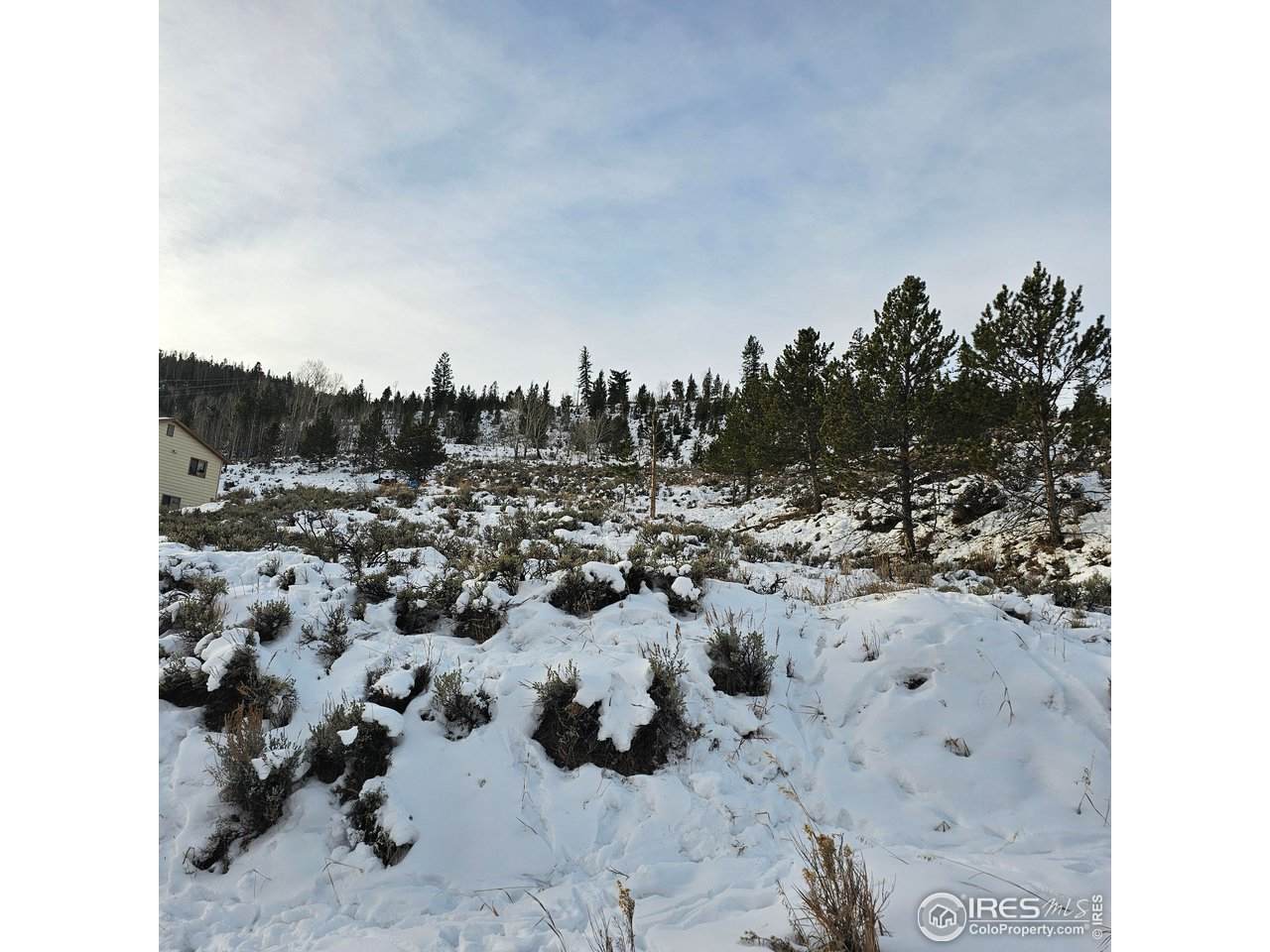  Roosevelt - Photo 1