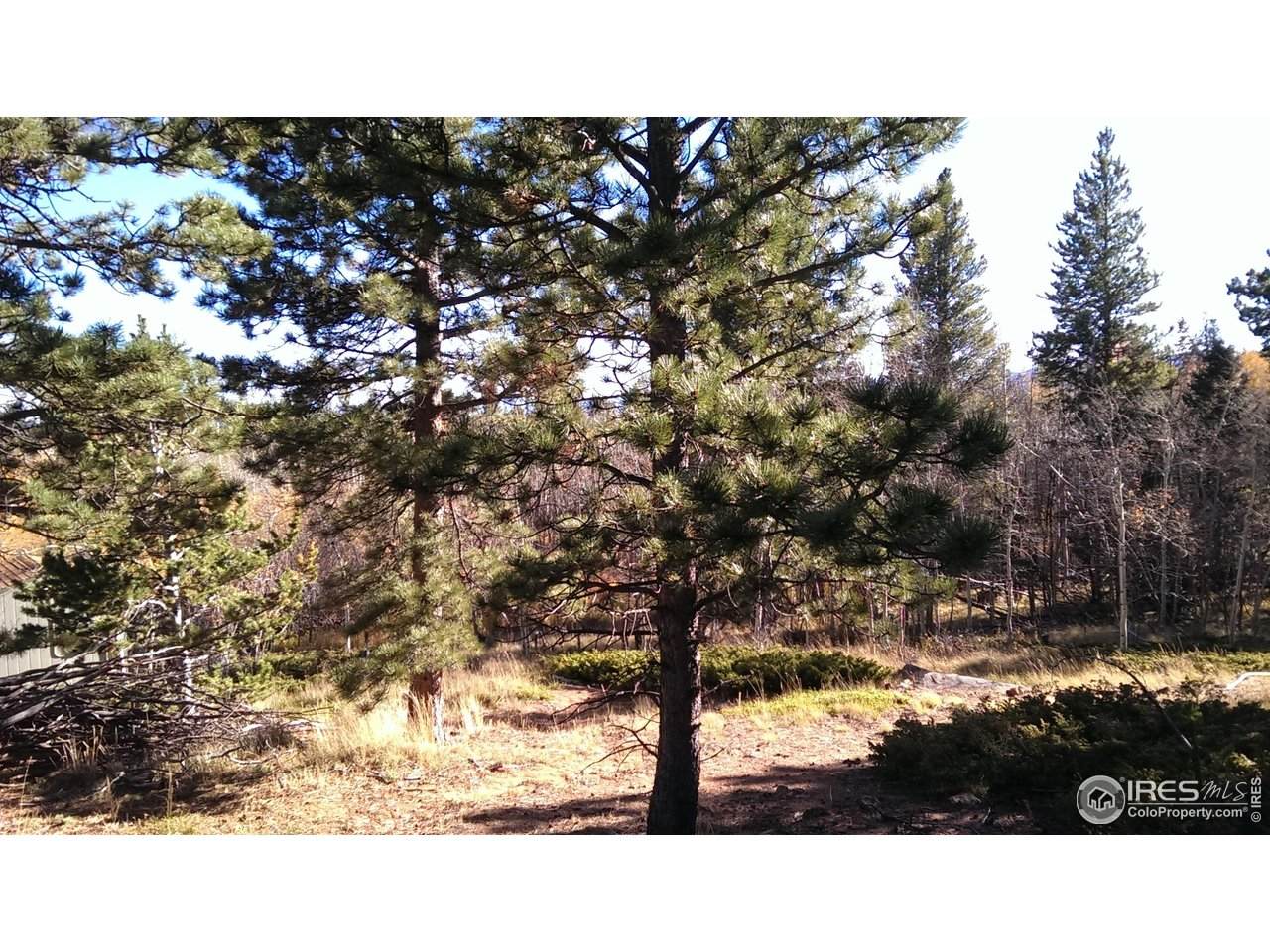 171 Spokane Ct - Photo 1
