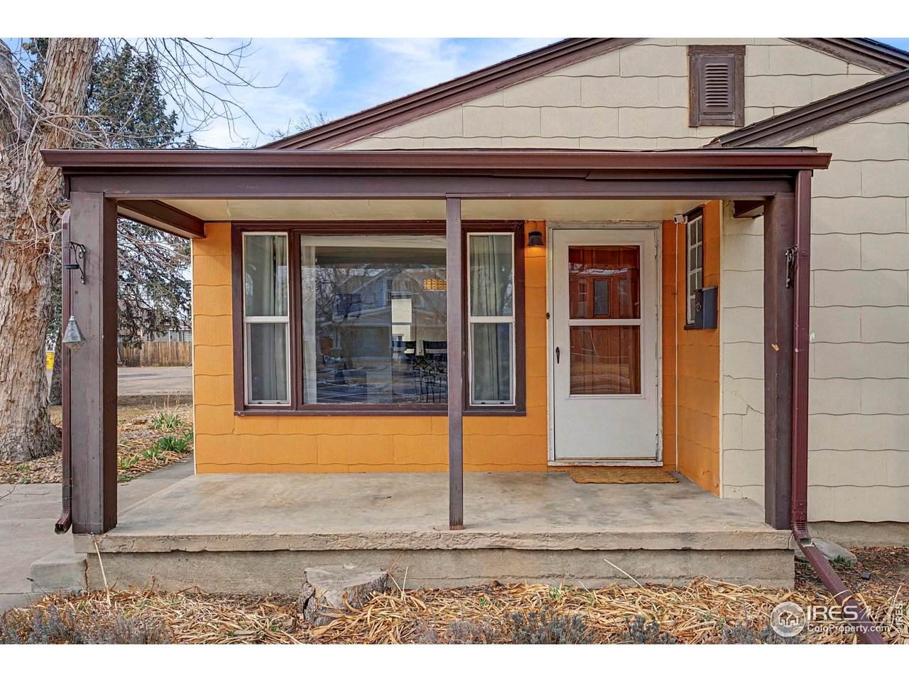 113 4th Ave - Photo 1