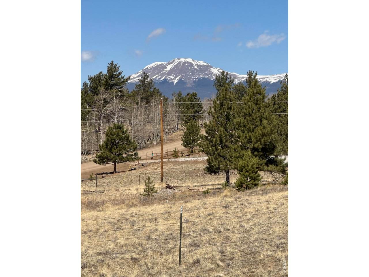 2841 Singletree Rd - Photo 1