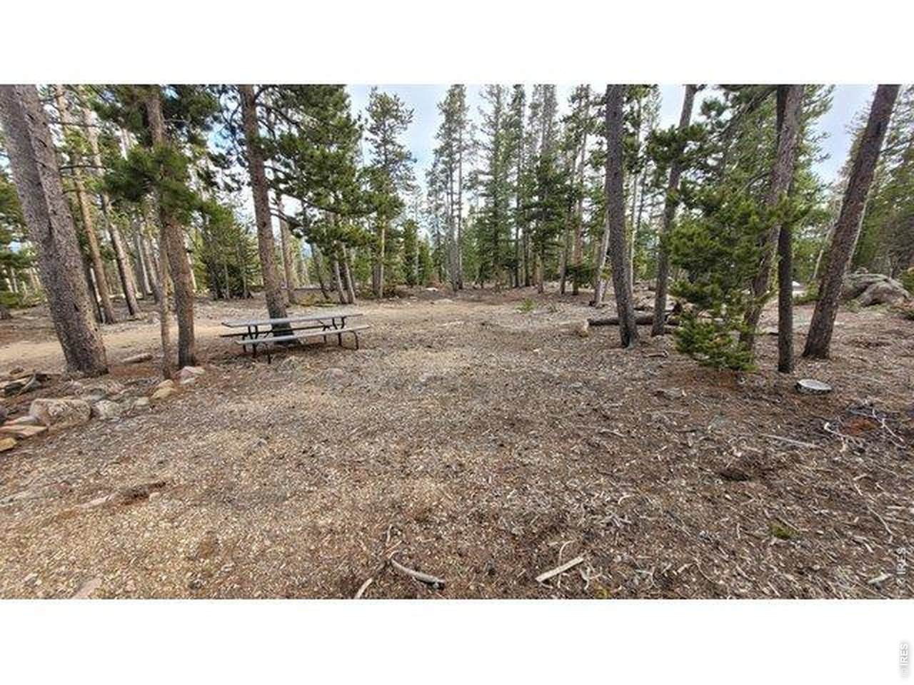 1421 Jicarilla Trl - Photo 1