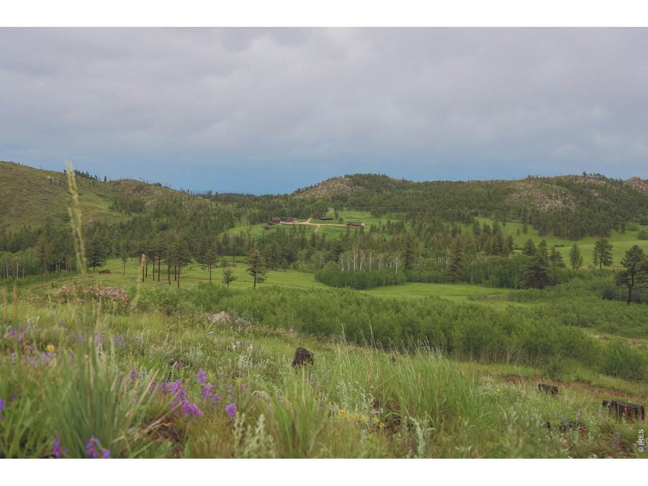 14884 Rist Canyon Rd - Photo 1