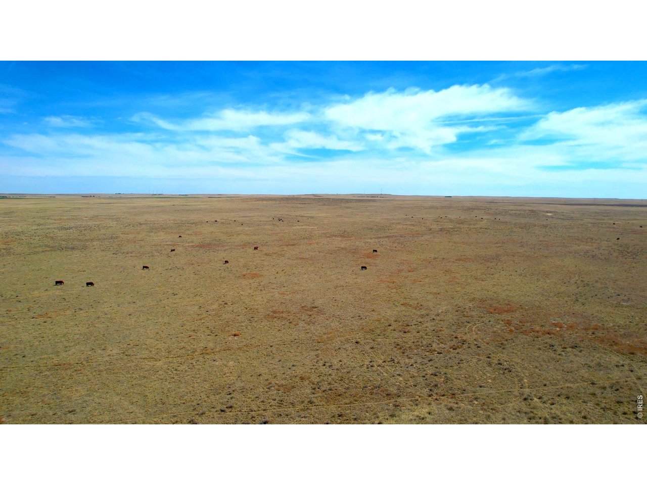 0 County Road 42 - Photo 1