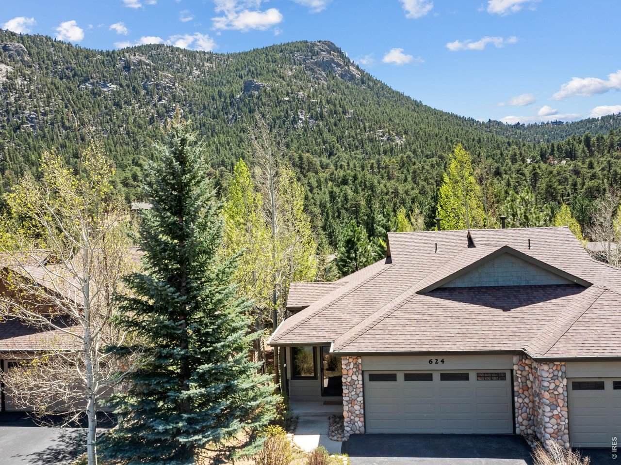624 Park River Pl - Photo 1