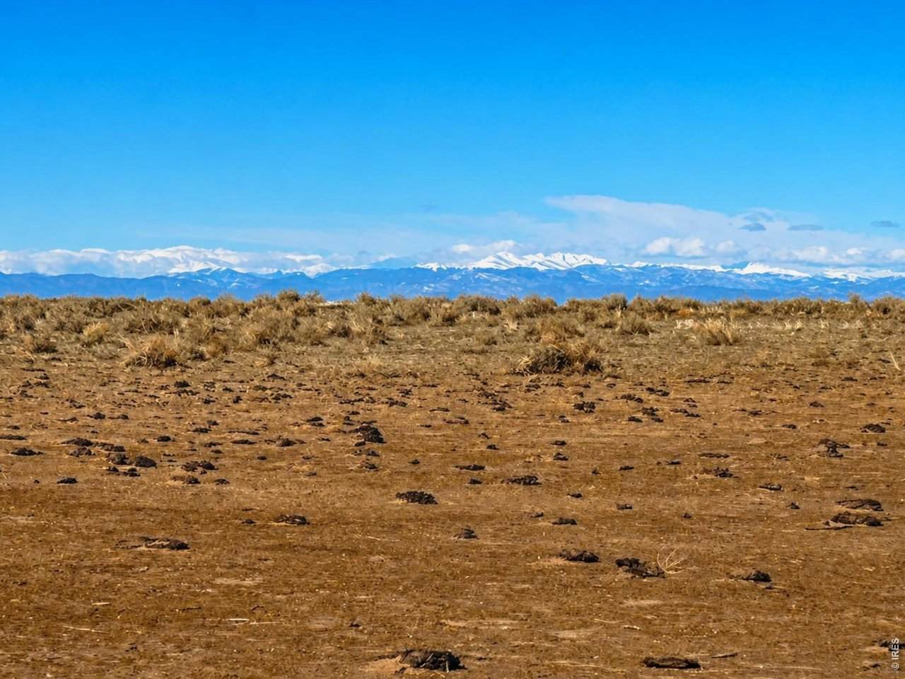  County Road 80 - Photo 1
