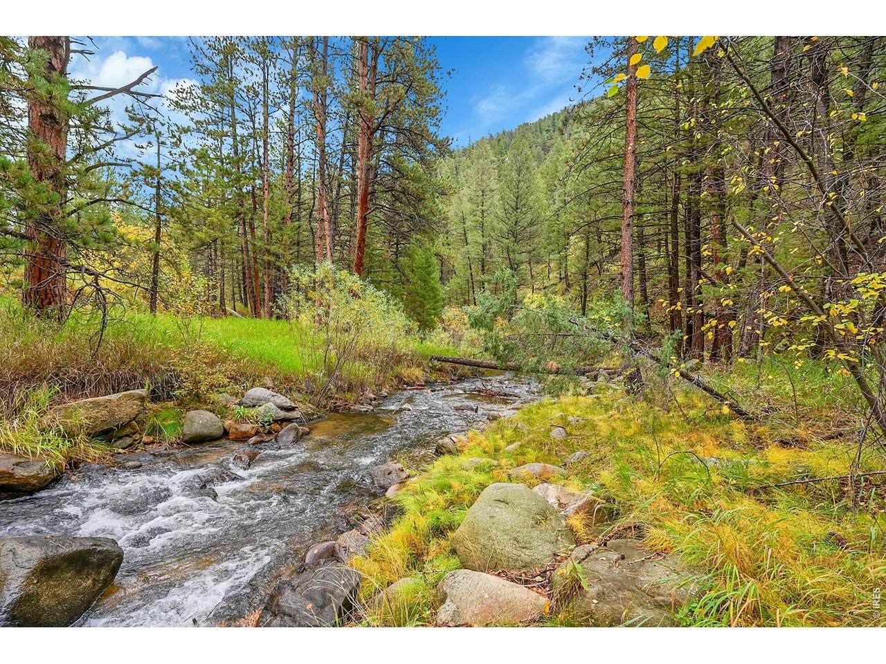 5567 Lefthand Canyon Dr - Photo 1