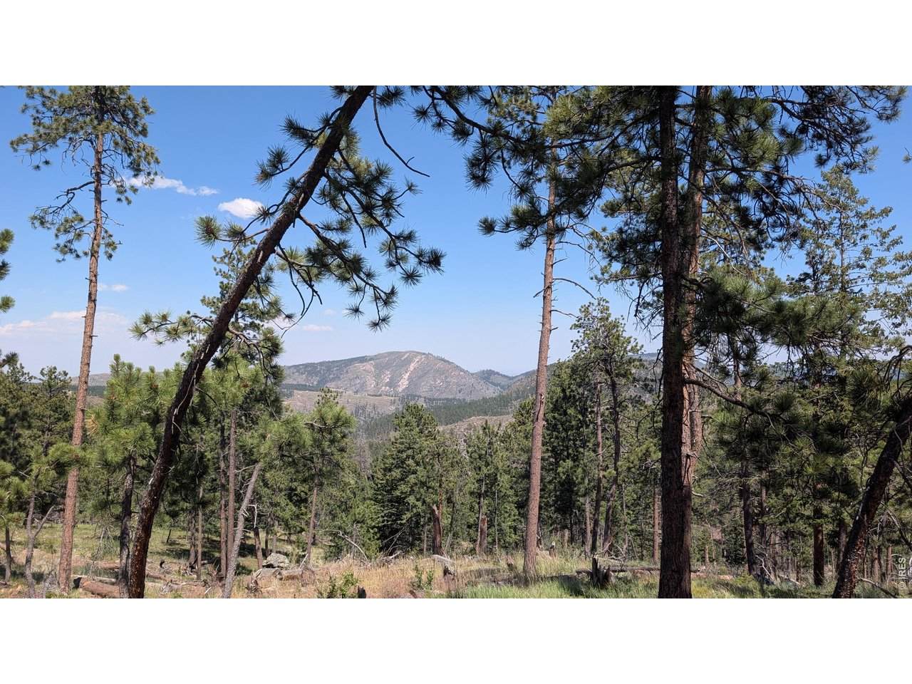 0 Old Camp Rd - Photo 1