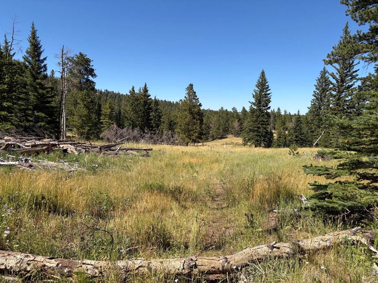  Pratt Creek Rd - Photo 1