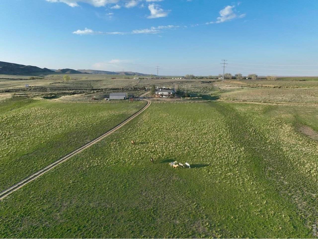 3259 County Road 80 - Photo 1