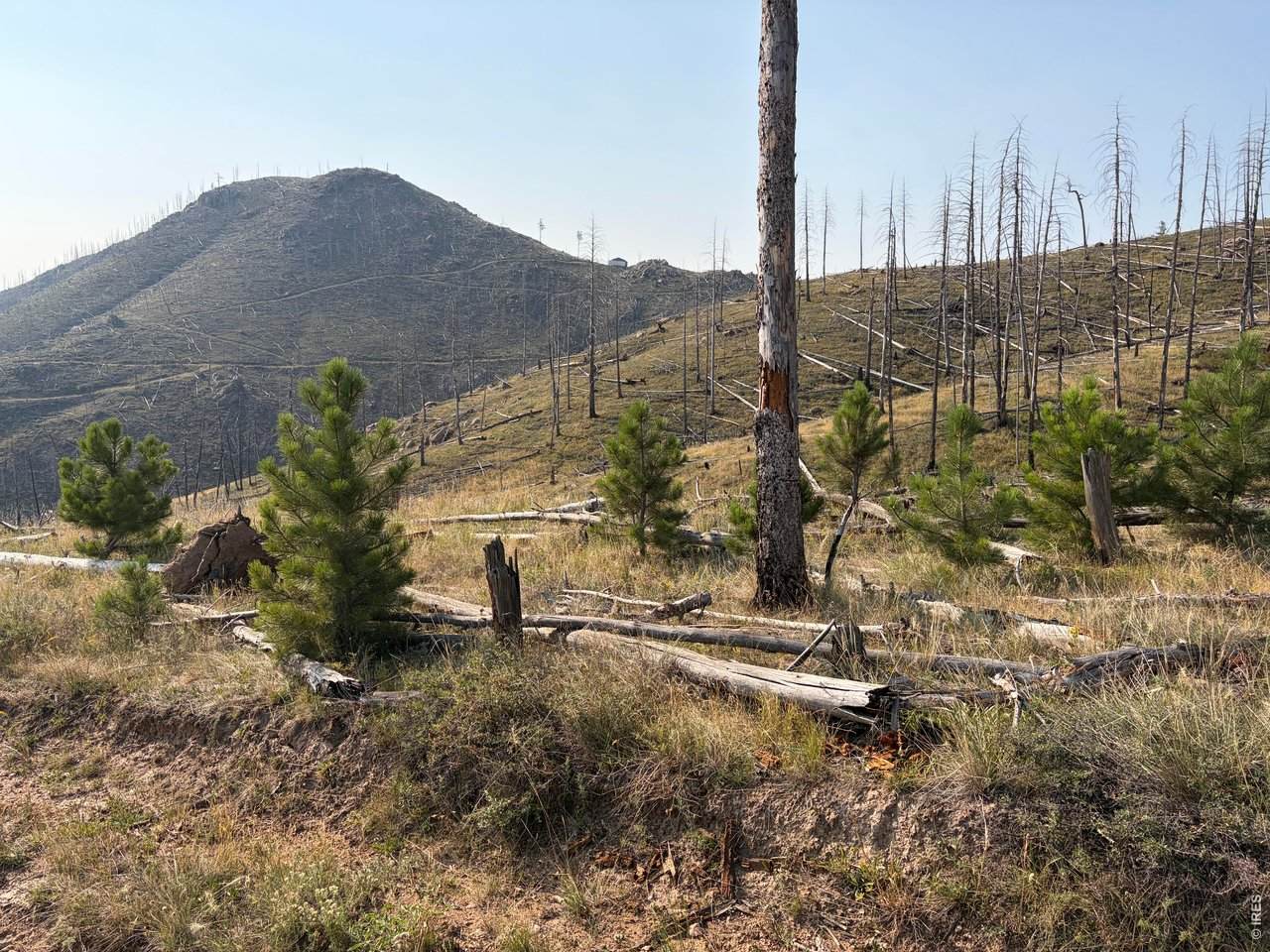 0 Pine Acres Rd - Photo 1