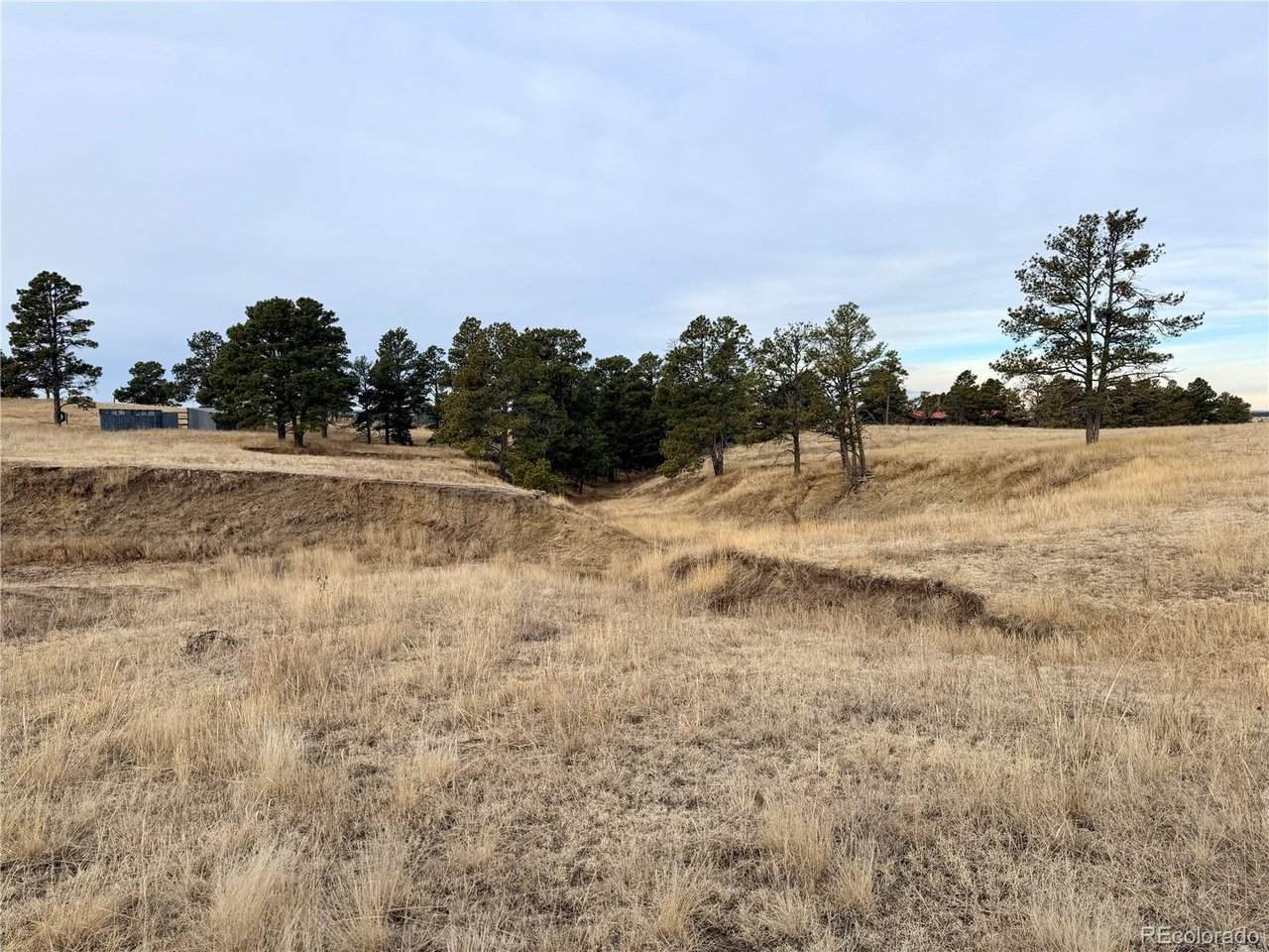 6 County Road 122 - Photo 1