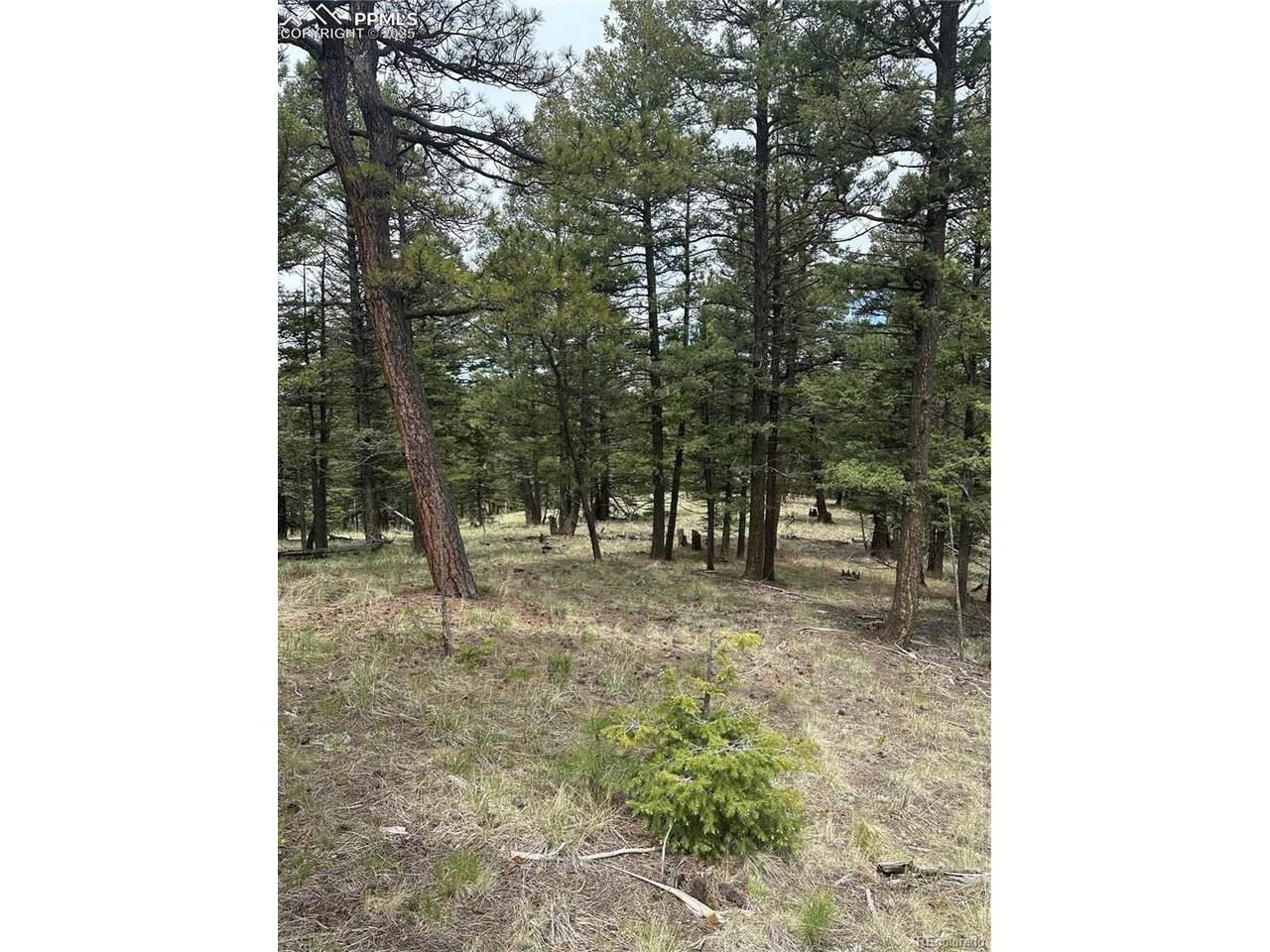 1120 N Mountain Estates Rd - Photo 1
