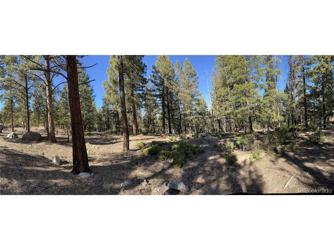  Aspen Turn - Photo 1