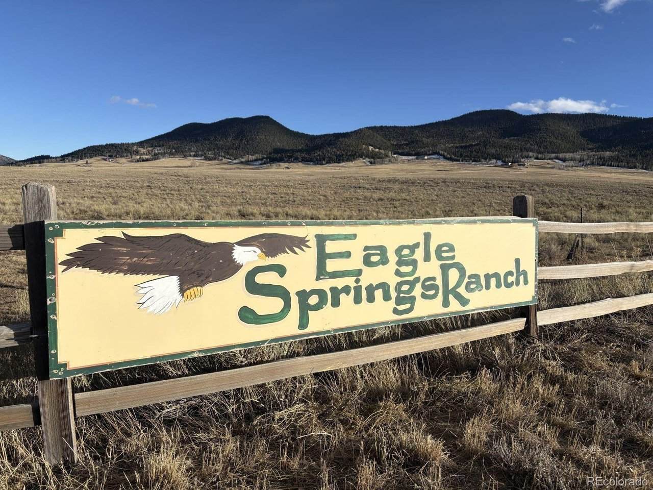 29 Eagle Springs Rd - Photo 1