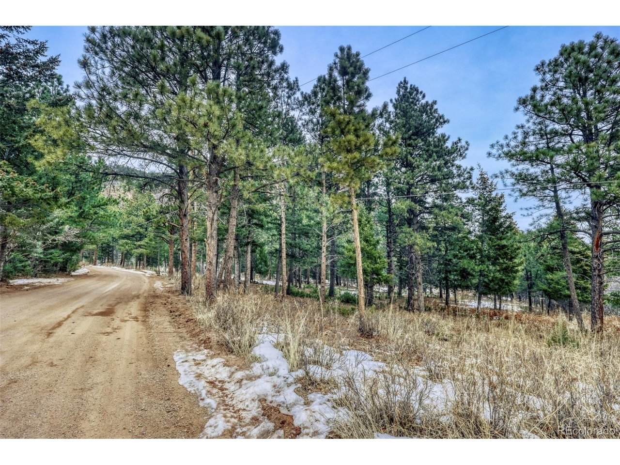  Rock Ridge Rd - Photo 1