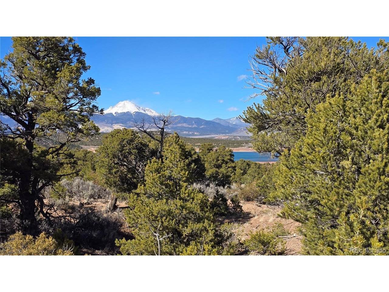 409 Williams Rd - Photo 1