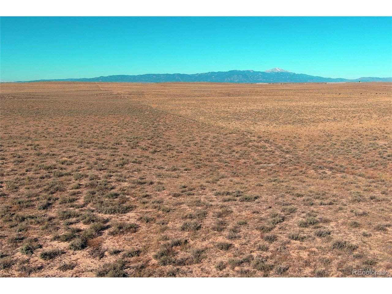  Mountain Prairie - Photo 1