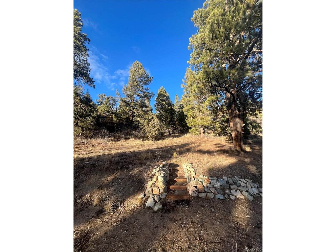  Forbes Rd - Photo 1