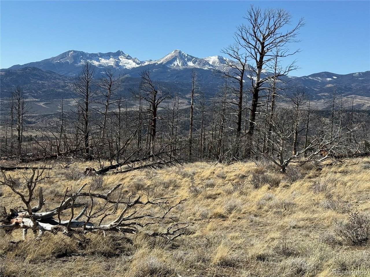 385 Soubry Pl - Photo 1