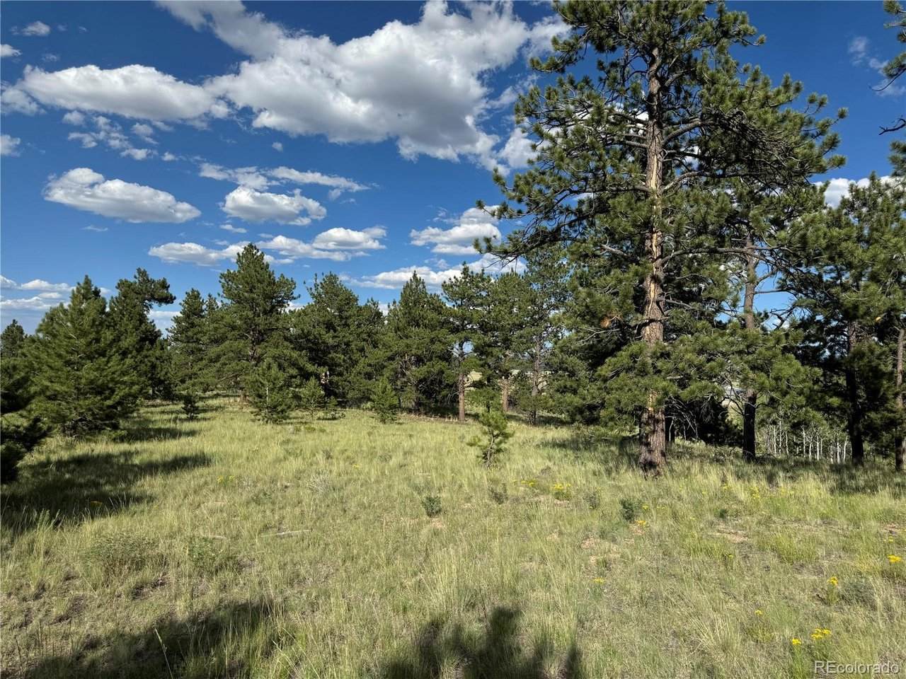 833 Angus Cir - Photo 1