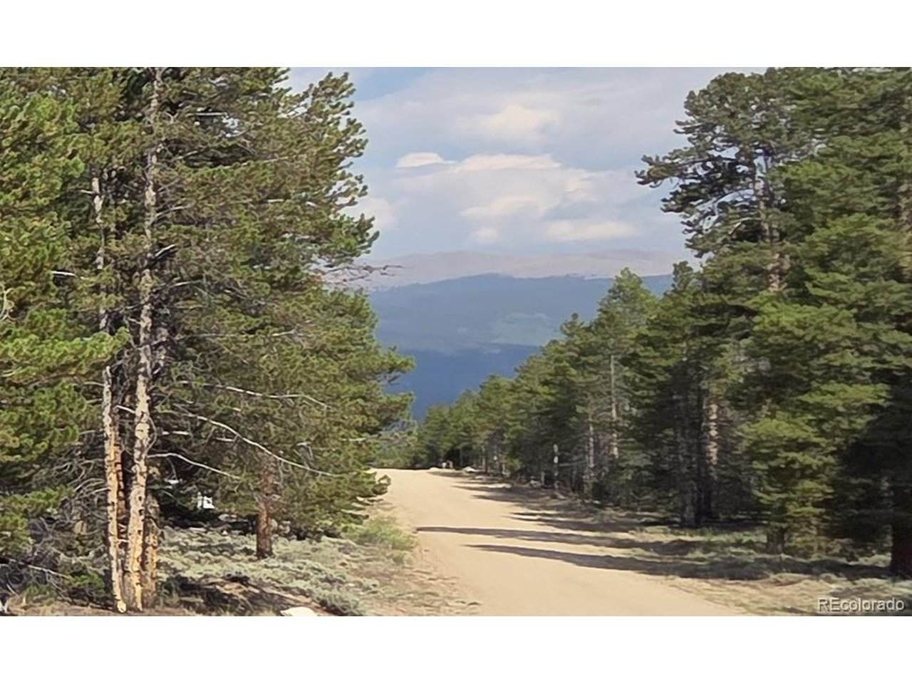 455 Spruce Dr - Photo 1