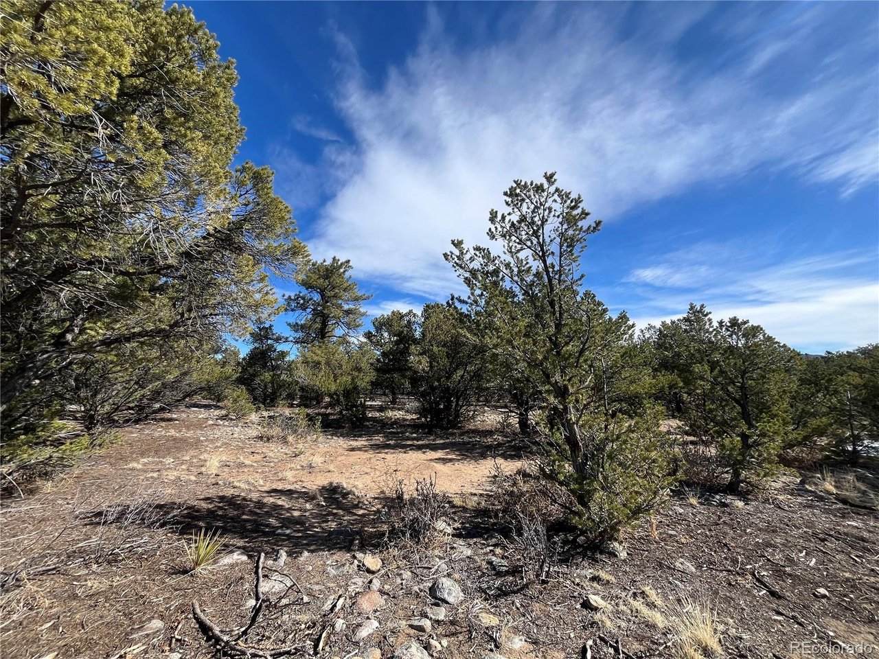 29274 Lakota Ln - Photo 1