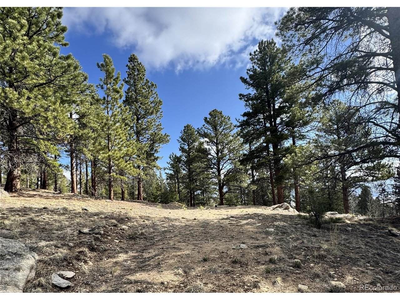 30317 Aspen Turn - Photo 1