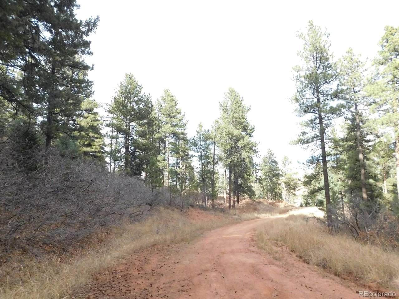 8055 Acoma Dr - Photo 1