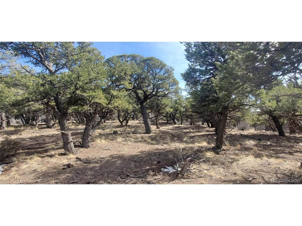 7274 Barker Rd - Photo 1