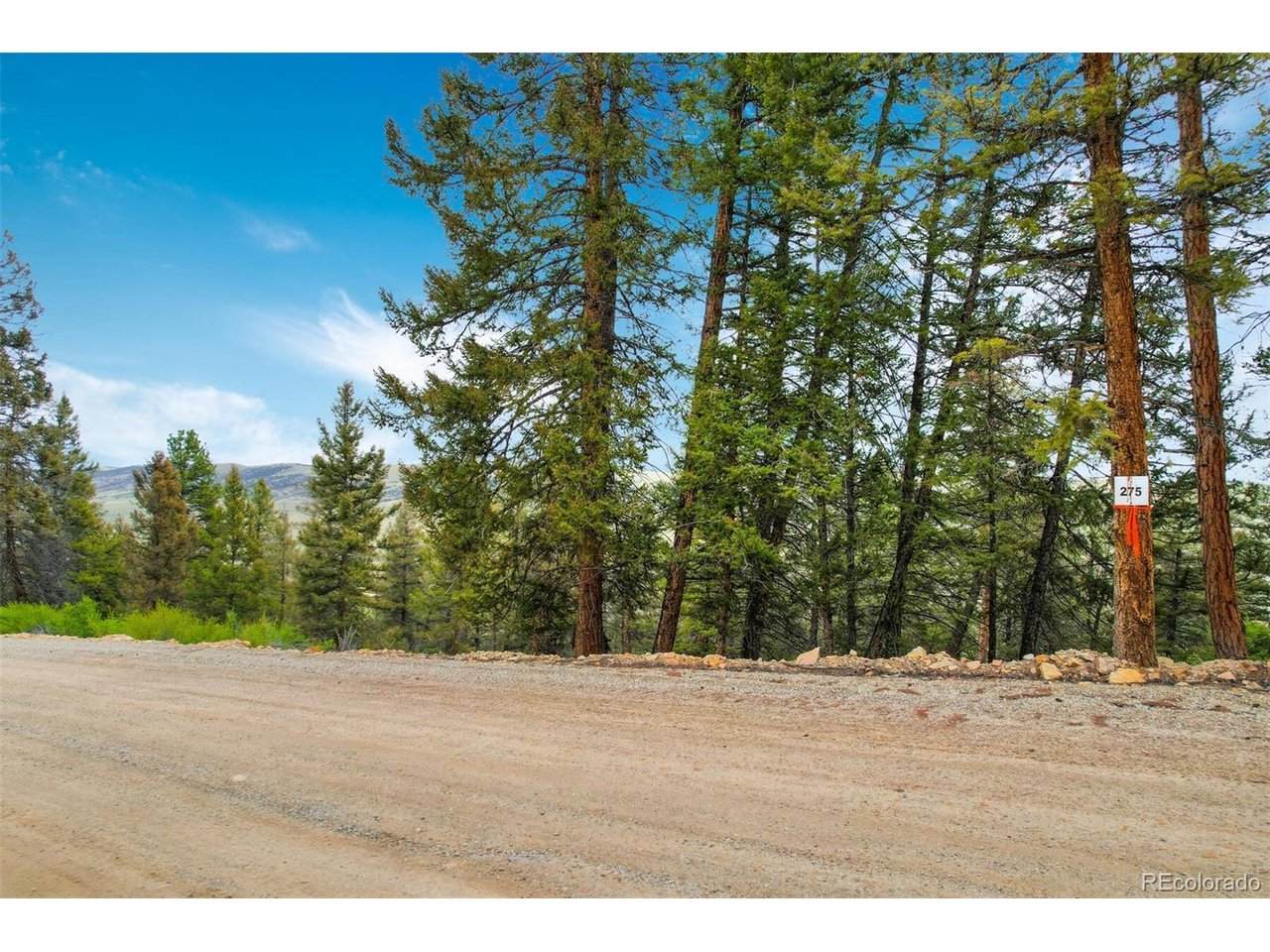 0 Trout Creek Ln - Photo 1