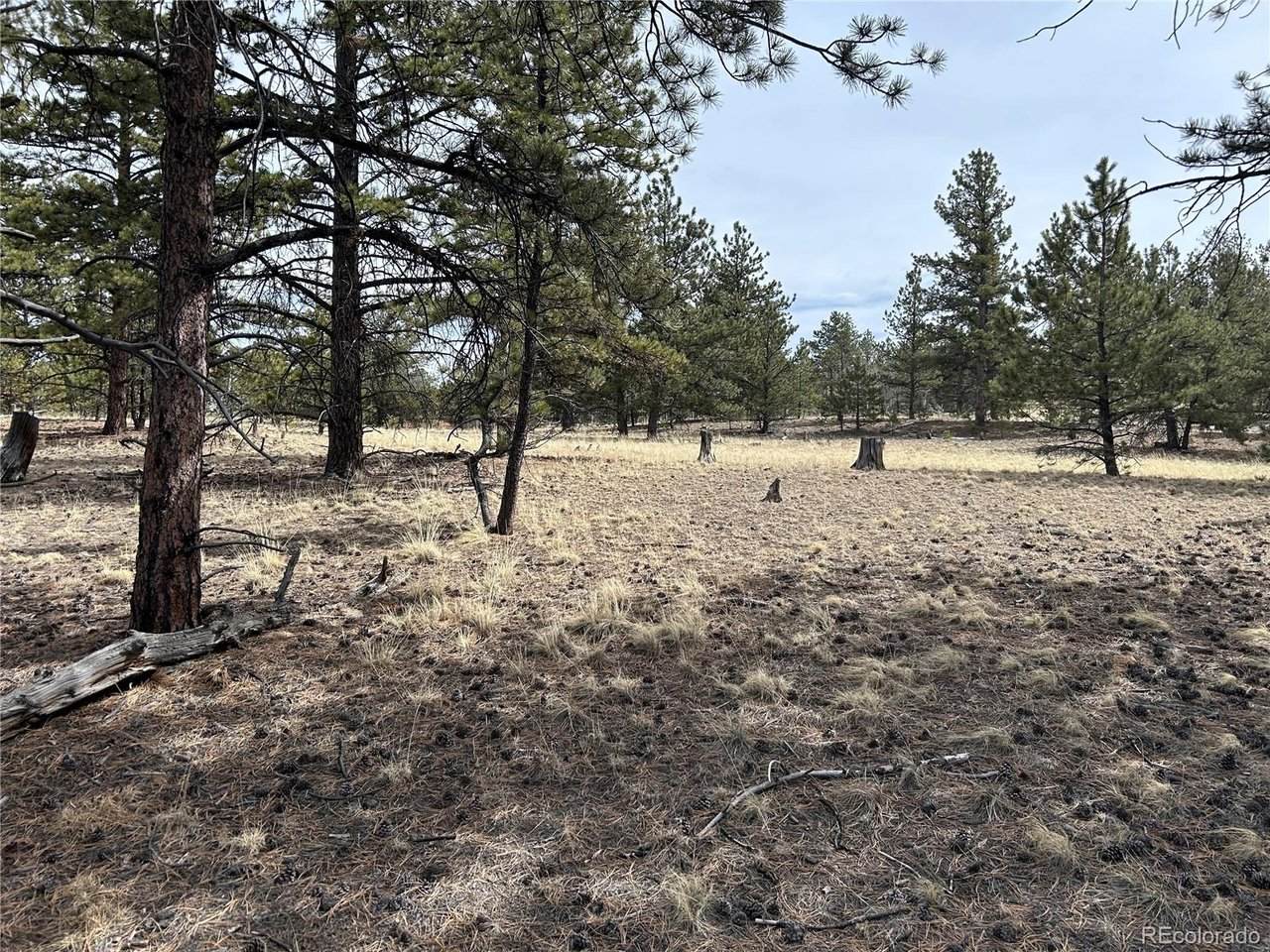 2146 Wagon Wheel Rd - Photo 1
