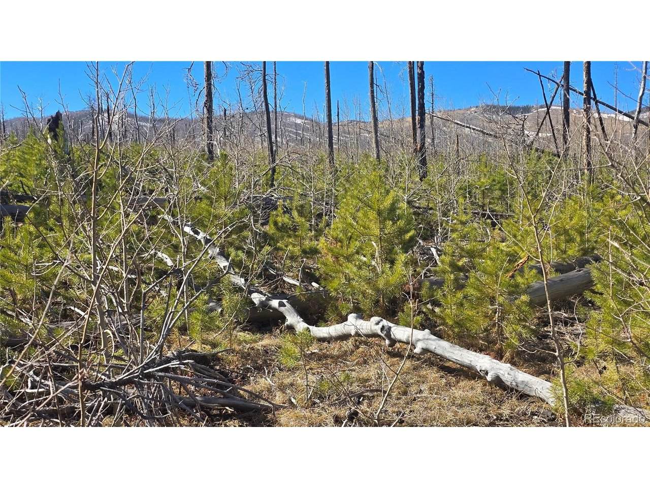 1460 Von Heyl Ln - Photo 1