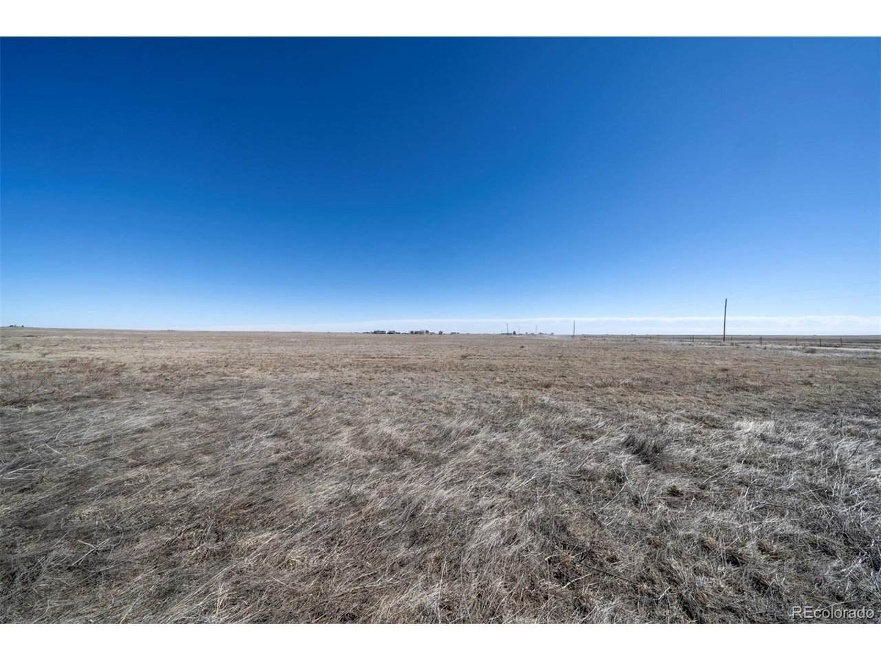 35800 Hanisch Rd - Photo 1