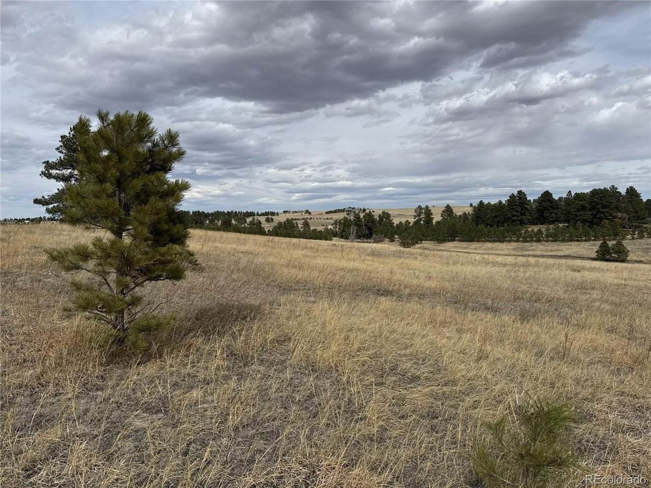 39080 County Road 21 - Photo 1