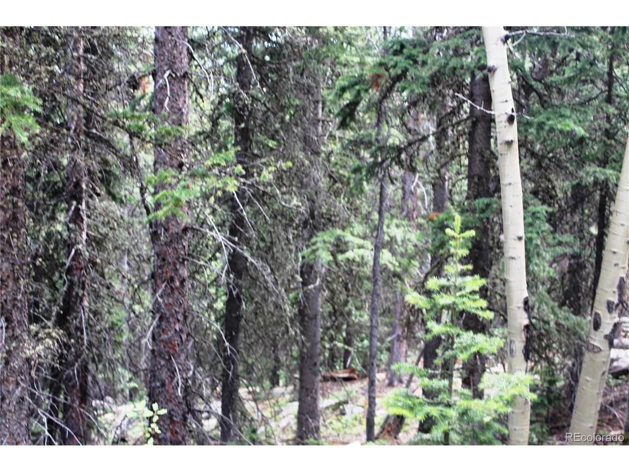 0 Hidden Wilderness Rd - Photo 1