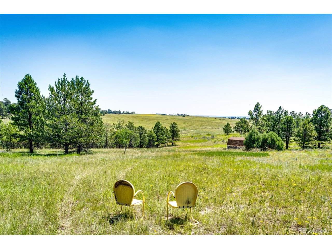 13123 Wilderness Dr - Photo 1