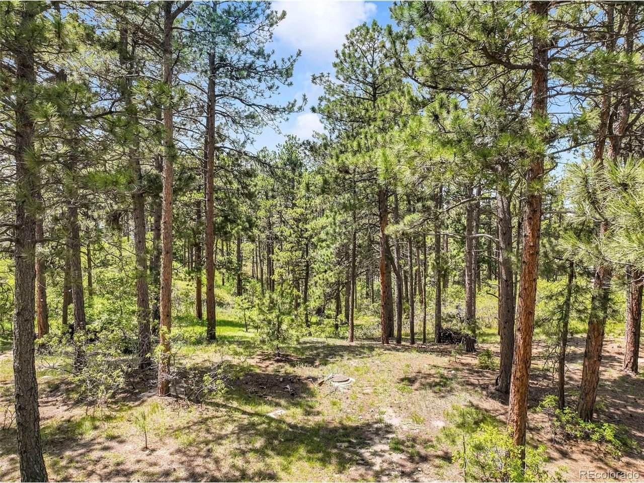 1180 Lone Scout Lookout - Photo 1