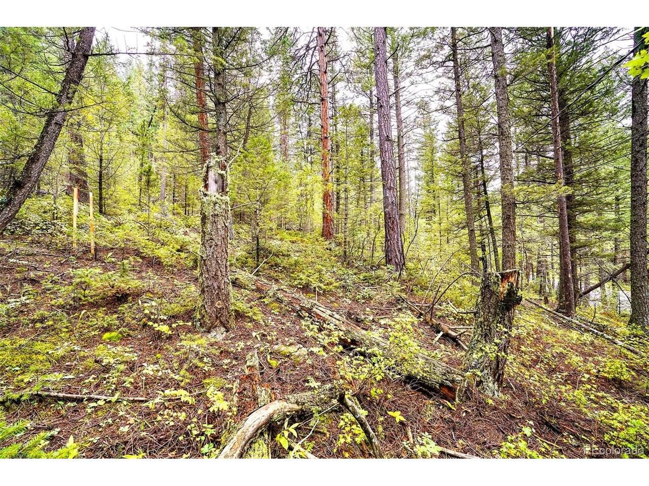10862 Twin Spruce Rd - Photo 1