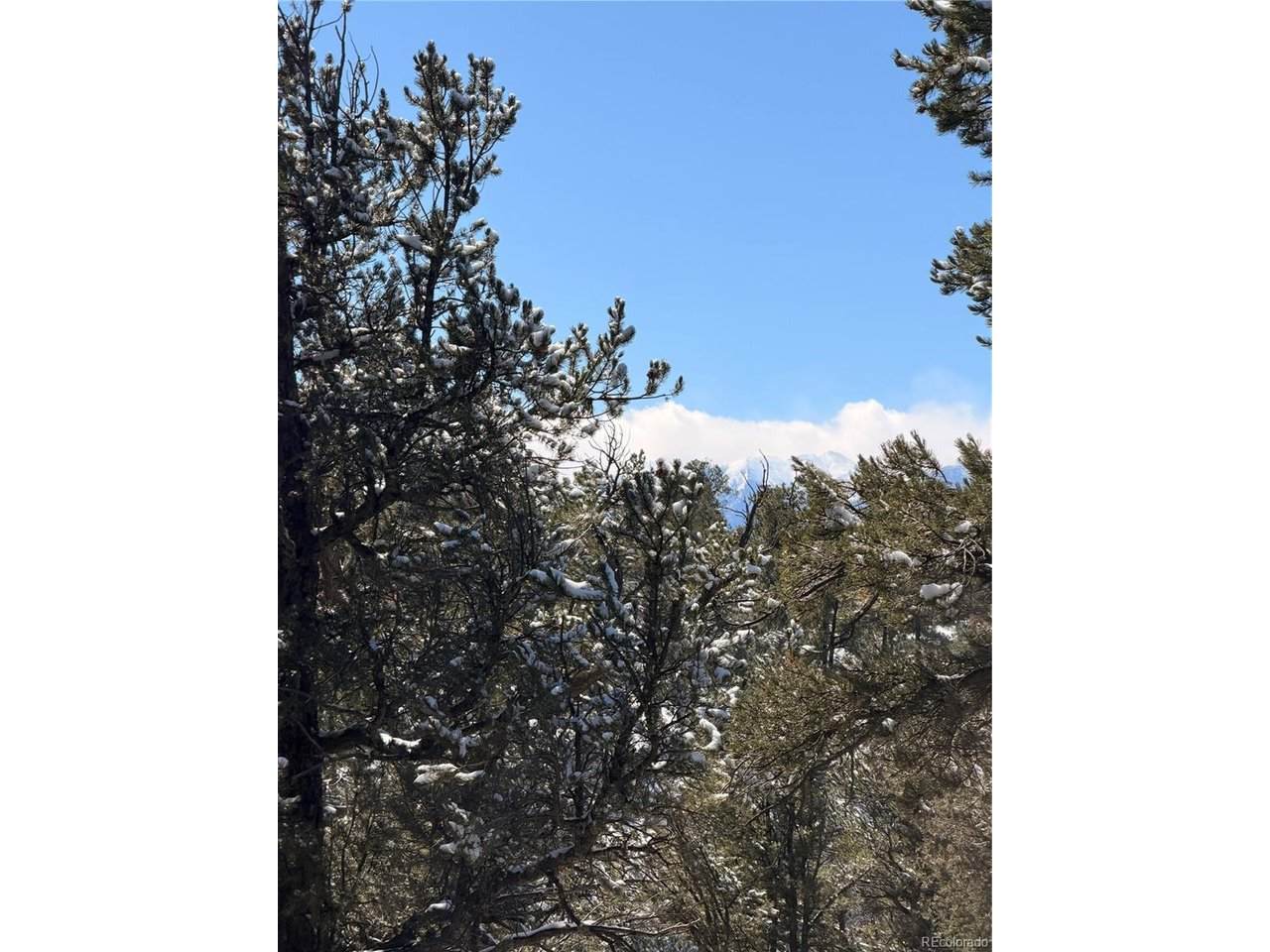0 41st Trail - Photo 1