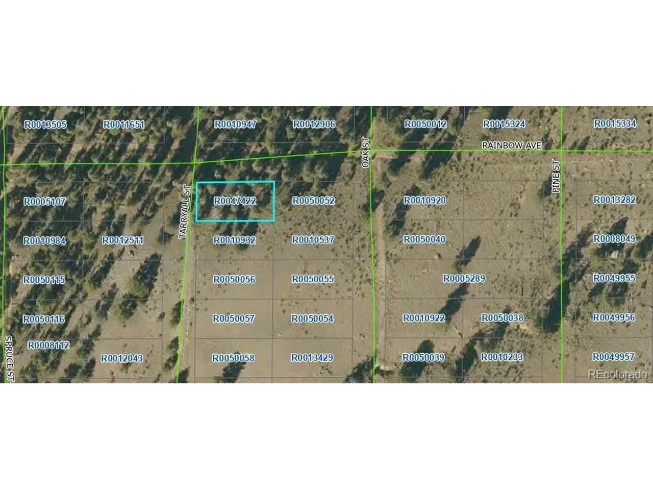 0 Tarryall Rd - Photo 1