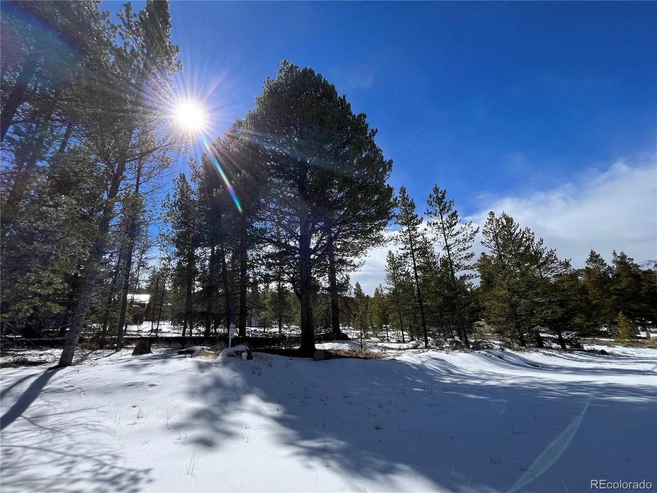 28 Juniper Dr - Photo 1