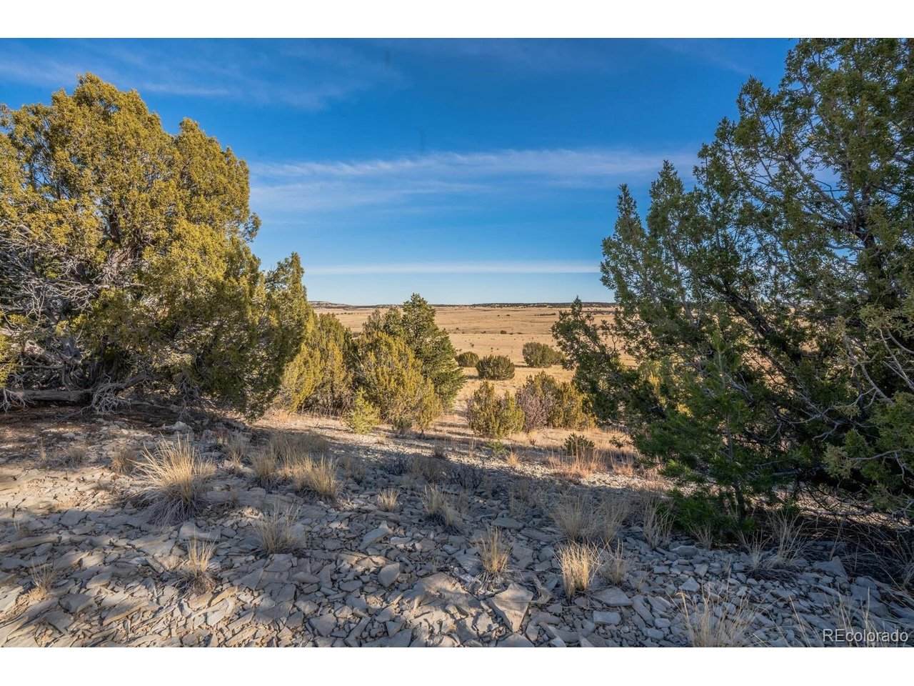 24 Hatchet Ranch - Photo 1