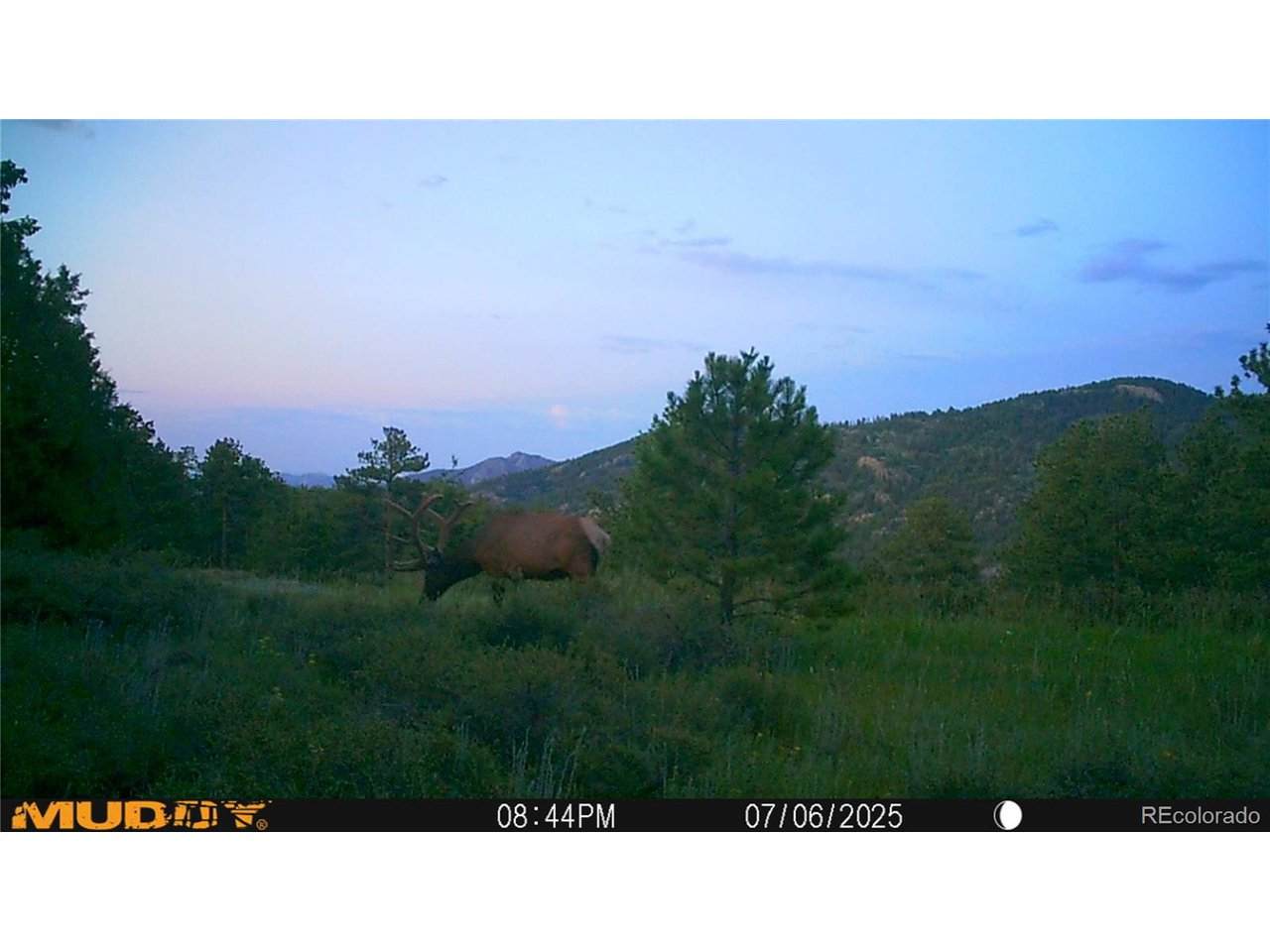 591599 Soul Shine Rd - Photo 1