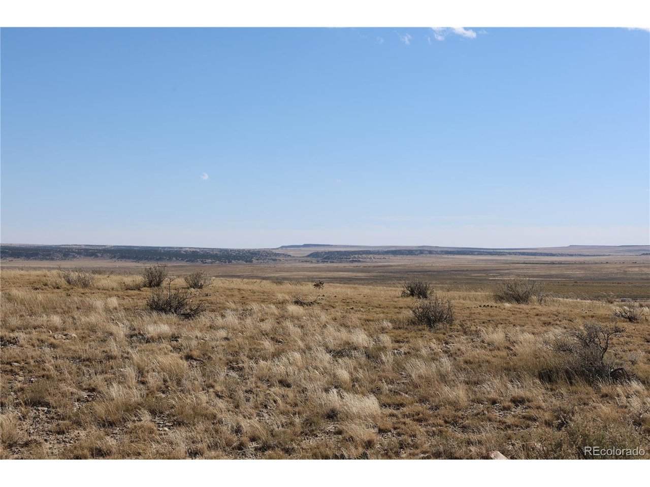  Homestead Loop - Photo 1