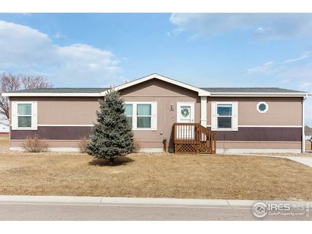 2905 Foxtail Ln - Photo 1 2905 Foxtail Ln - Photo 1