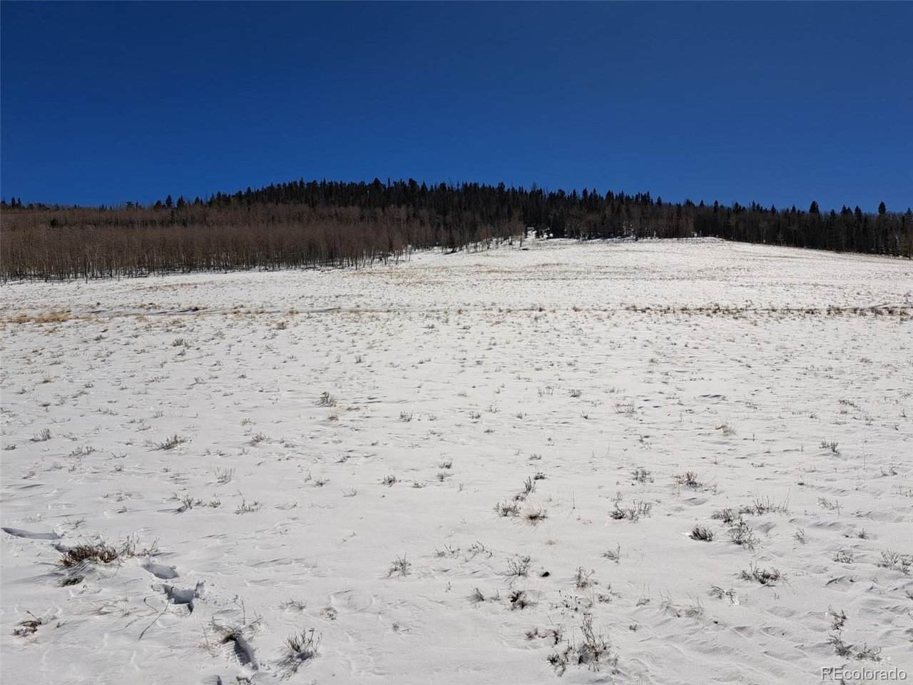 0 Jicarilla Trl - Photo 1