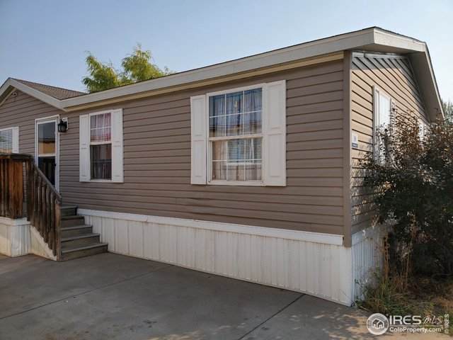 517 Trilby Rd - Photo 1